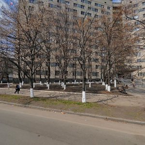 Borschahivska Street, 148, Kyiv: photo