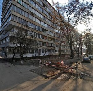 Pechenizka Street, 35/43, Kyiv: photo