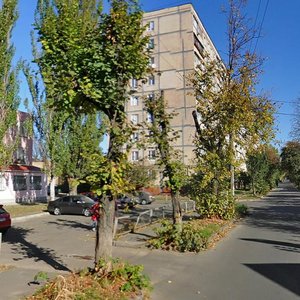 Patriotiv Street, 98, Kyiv: photo