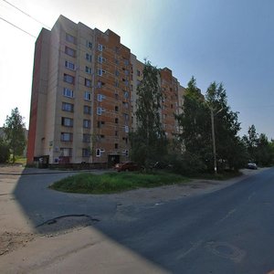 Rugozerskiy Lane, 11, Petrozavodsk: photo