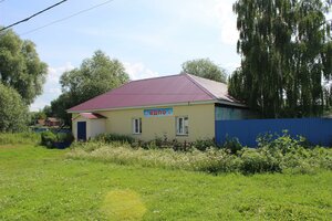 Ulitsa Pugachyova, 20, Tsivilsk: photo