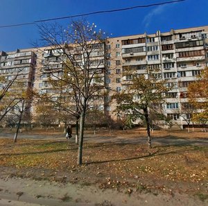 Mykoly Zakrevskoho Street, 49, Kyiv: photo