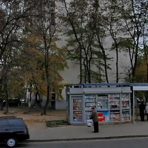 Mytropolyta Vasylia Lypkivskoho Street, 32, Kyiv: photo