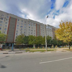 Zestafonska vulytsia, 11, Zaporizhia: photo