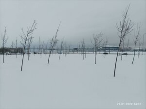 Morskaya Embankment, 39к2, : foto