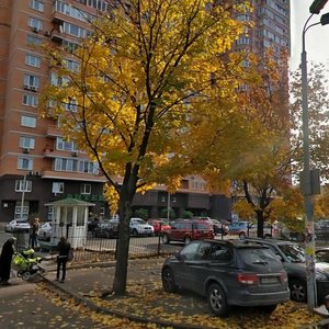 Ihoria Shamo Boulevard, 12, Kyiv: photo