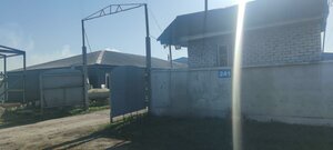 Mukhtar Auezov Street, 241, : foto