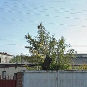 Kulagina Street, 7, Barnaul: photo