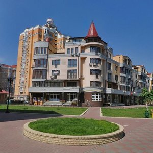 Obolonska Embankment, 15к5 ، كييف: صورة
