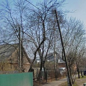 Bolshaya Kosinskaya Street, 42, Moscow: photo