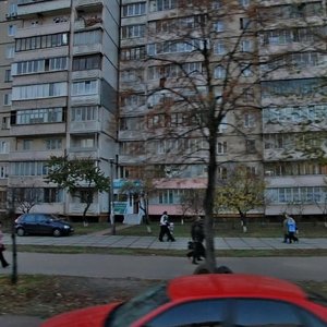 Dekabrystiv Street, 6, Kyiv: photo