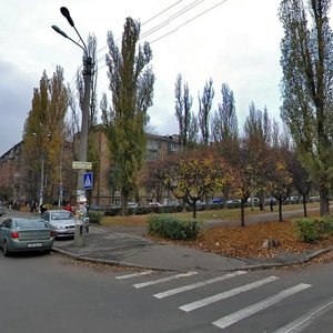 Aviakonstruktora Antonova Street, 20, Kyiv: photo