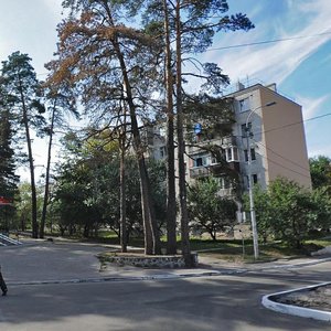 Vulytsia Chkalova, 4, : foto