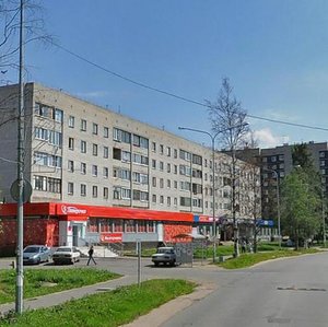 Oboronnaya Street, 14, Murino: photo