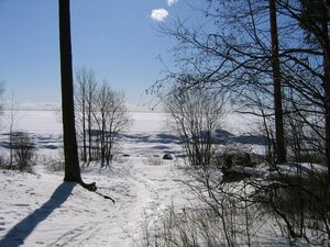 Primorskoye Highway, 605, Saint Petersburg: photo