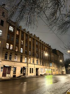 Borovaya Street, 74, Saint Petersburg: photo