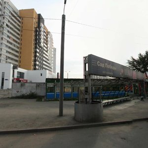 Челябинск, Салютная улица, 10к1: фото