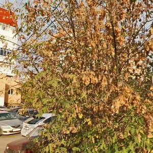 Leninskaya Street, 147, Samara: photo