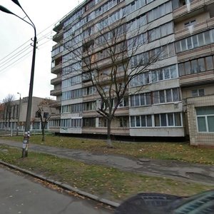 Volhohradska Street, 3, Kyiv: photo