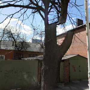 Gazetniy Lane, 117, Rostov‑na‑Donu: photo