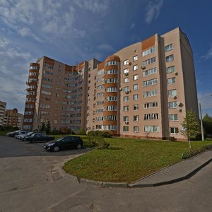 Panamarenki Street, 54, Minsk: photo