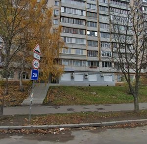 Kudriashova Street, 7, Kyiv: photo