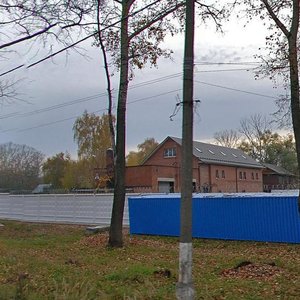 Lapina Street, 52, : foto