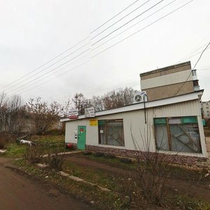 Нижегородская область, Сельский посёлок Селекционной Станции, 24В: фото