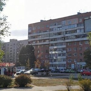 Avtozavodska vulytsia, 8Б, Zaporizhia: photo