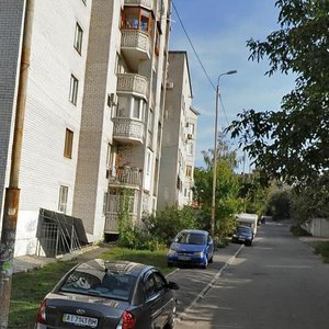 Mykoly Sadovskogo Street, 12, Kyiv: photo