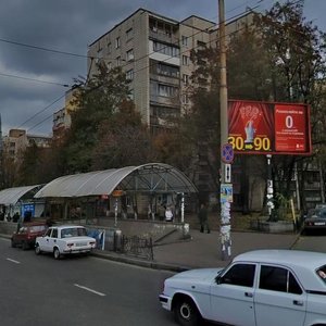 Chokolivskyi Boulevard, 12/14, Kyiv: photo