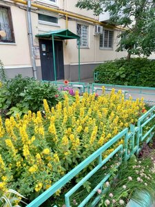 Sportivnaya Street, 10, Samara: photo