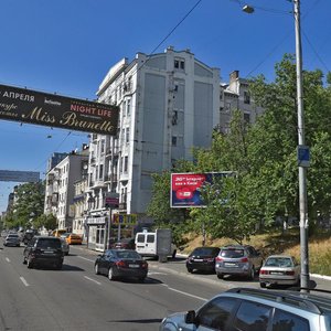 Saksahanskoho Street, 58, Kyiv: photo