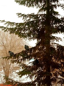 Suvorova Street, 132/4, : foto