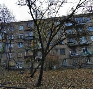 Laboratornyi Lane, 22, Kyiv: photo