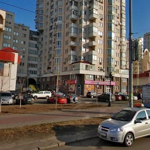 Marshala Tymoshenka Street, 29, Kyiv: photo