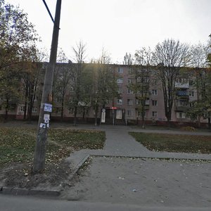 Kosmichna vulytsia, 110, Zaporizhia: photo