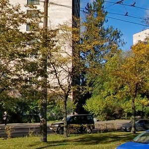Veteranov Avenue, 45, Saint Petersburg: photo