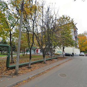 Dobroselskaya Street, 205, : foto
