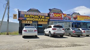 Prospekt Kosmonavtov, No:10Б, Budennovsk: Fotoğraflar