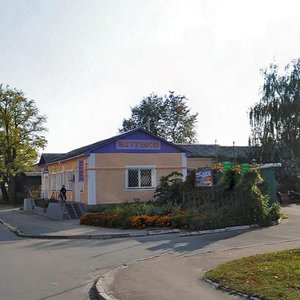 Vulytsia Oleha Mykhniuka, 12, : foto