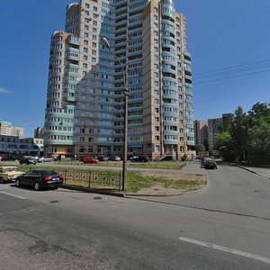 Udarnikov Avenue, 33 ، سان بطرسبرغ: صورة