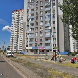 Mykoly Lavrukhina Street, 12, Kyiv: photo