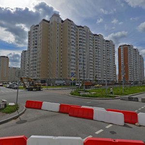 Zaschitnikov Moskvy Avenue, 10, Moscow: photo