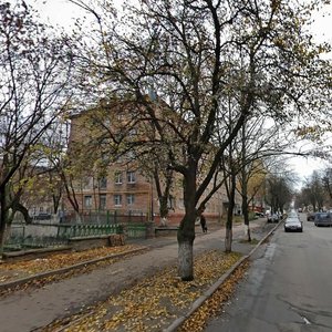 Mytrofana Dovnar-Zapolskoho Street, 16, Kyiv: photo