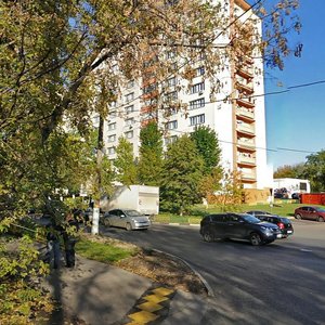 Polbina Street, 9к2, Moscow: photo