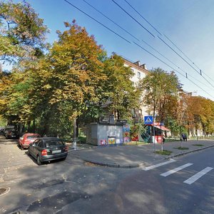 Oleha Olzhycha Street, 6, Kyiv: photo