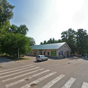 Lenina Street, 8, Semiluky: photo
