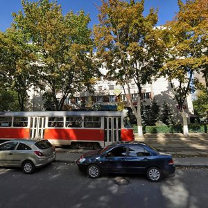 Dehtiarivska Street, 8А, Kyiv: photo