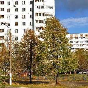 Shinnikov Avenue, 54, Nizhnekamsk: photo